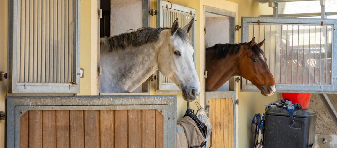 Connaissez-vous l’équinophobie, la peur panique des chevaux ? Connaissez-vous l'équinophobie, la peur panique des chevaux ?
