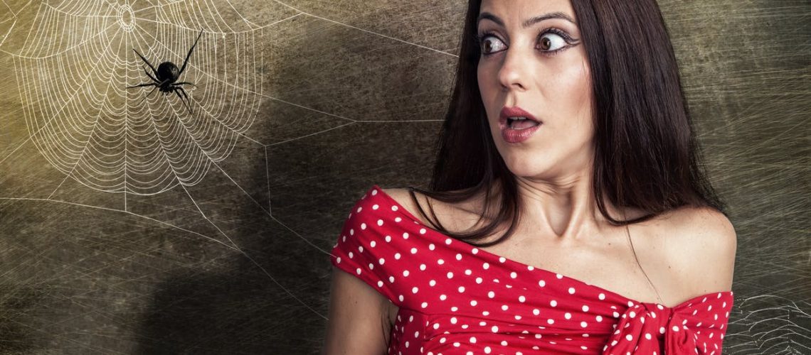 Arachnophobie :  pourquoi cette peur des araignées ? que faire ? Arachnophobie :  pourquoi cette peur des araignées ? que faire ?